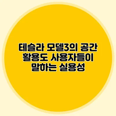테슬라 모델3의 공간 활용도 사용자들이 말하는 실용성