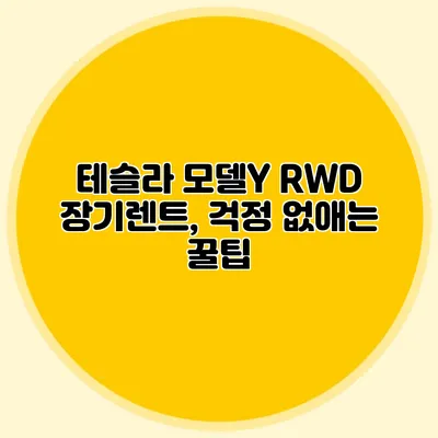 테슬라 모델Y RWD 장기렌트, 걱정 없애는 꿀팁