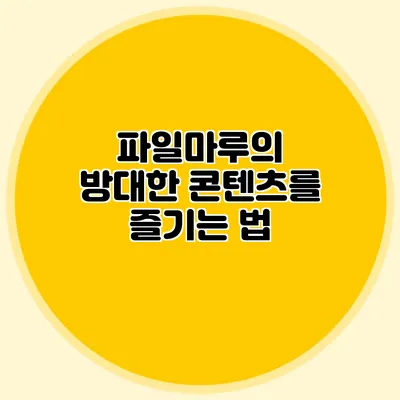 파일마루의 방대한 콘텐츠를 즐기는 법